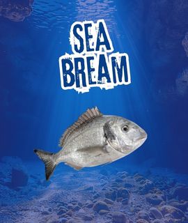 seabream
